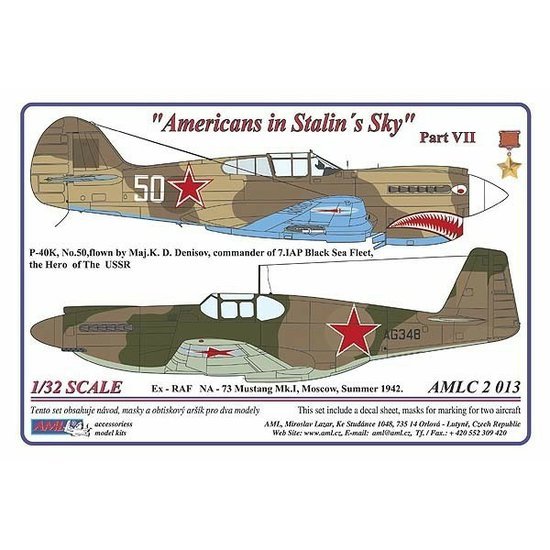AMLC2013.jpg