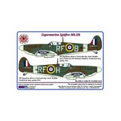 AMLC4004.jpg