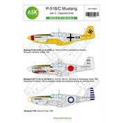 1:48 P-51B/C Mustang part 3 - Captured birds