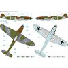 ARTD72041_01.jpg