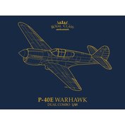 Eduard modely 1:48 P-40E Warhawk (Dual Combo)