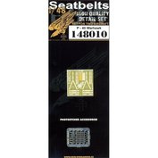 1:48 Seatbelts P-40 Warhawk