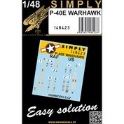 1:48 Seatbelts P-40E Warhawk (Simply-Relief Print)
