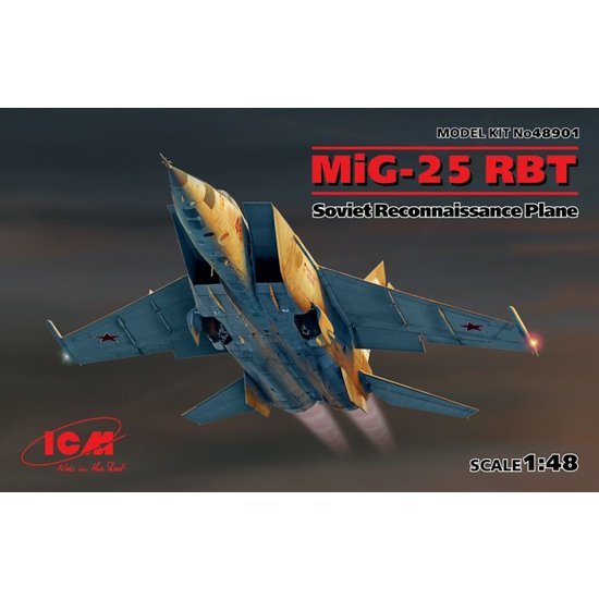 ICM48901.jpg