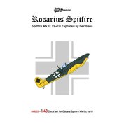 1:48 Rosarius Spitfire (Spitfire Mk.IX captured by Germans)