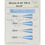 1:48 Missiles R-40 & stencils (2 pcs.)