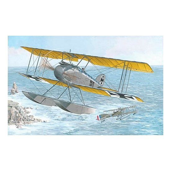 ROD72034.jpg