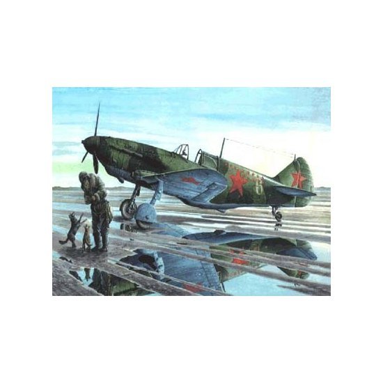 ROD72038.jpg