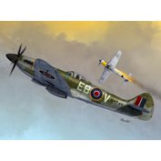 Sword 1:72 Spitfire Mk.XIVC/E Bubbletop