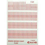 1:48 Remove Before Flight (decals)